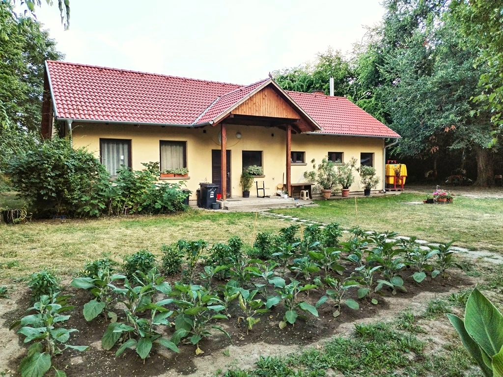 Kertészet – üvegházak, palántanevelés