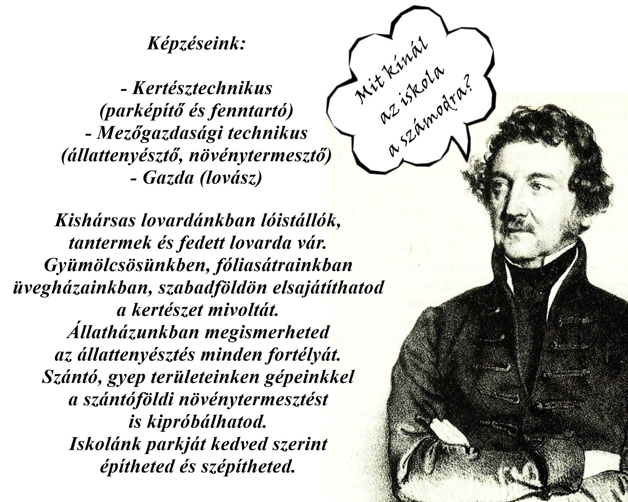 Képregény 7. oldal