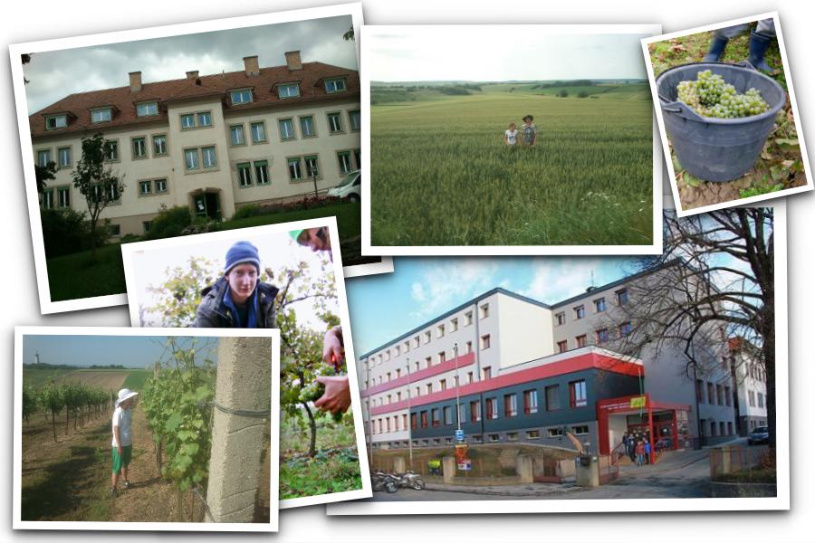 Mistelbach Landwirtschaftliche Fachschule – testvériskolánk